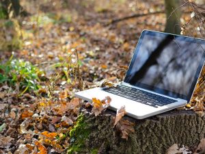 Internet rural: Qué alternativas tengo si vivo en un pueblo